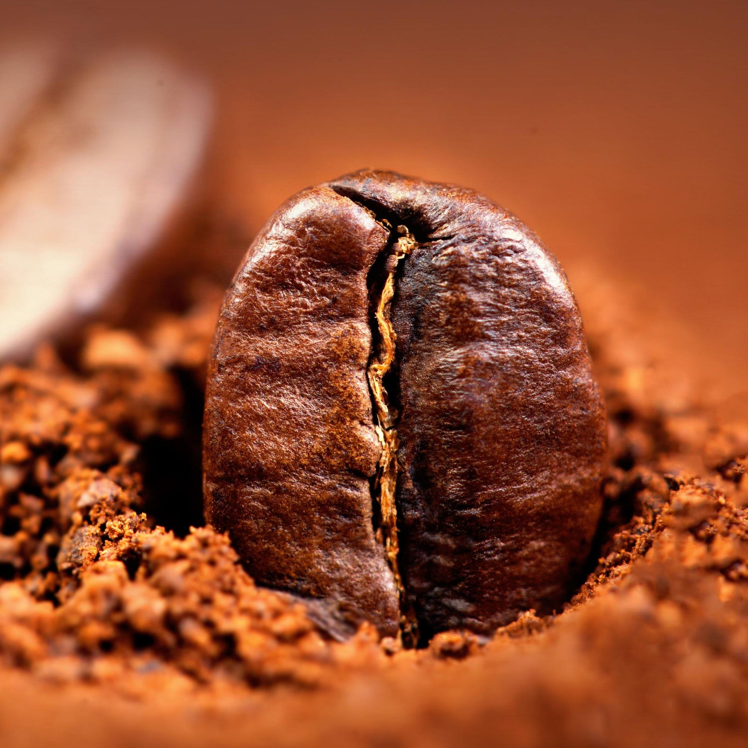 Capsules de Café pour Machine Portable : Le Guide Complet 2026
